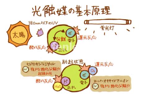 常州专业保洁公司承接开荒外墙地毯家电除甲醛灭鼠等保洁业务(常州洗地毯服务)